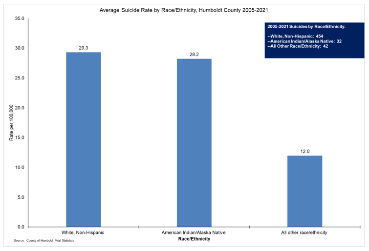 Average Suicide Rate by Racethnicity