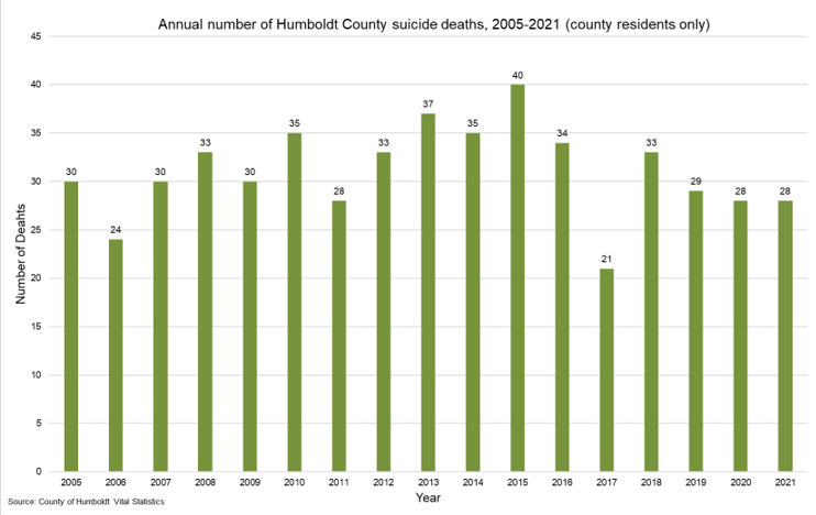 Vertical bar chart of suicide death counts 2005-2021