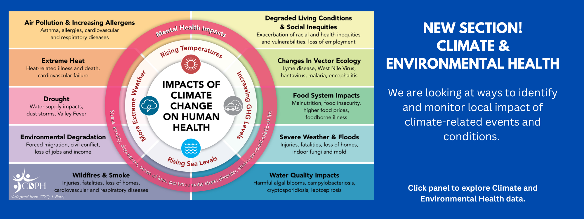 Graphic showing the impacts of climate change on human health